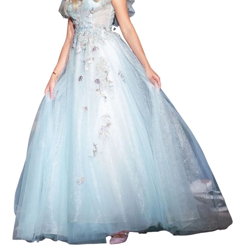Pol Atteu Ball Gown Size 6 Light Blue Embroidered Floral Formal Dress Prom - Picture 2 of 4